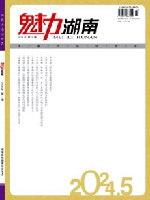 魅力湖南期刊